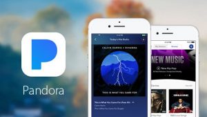 Pandora Mod Apk – (Premium Unlocked) 3